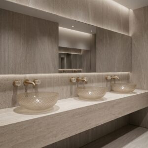 Read more about the article Fontana Brushed Nickel Faucet with Bowl for Professional Bathrooms